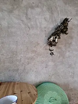 Snapshot of yoowwmr chatting on November 2025 12:53:01 AM yoowwmr online show from November 2025 12:53:01 AM