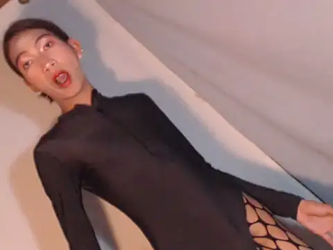 xyourdreamtrans online show from May 2026 03:06:01 AM
