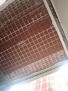 Cindy237st online show from November 2025 04:11:02 AM