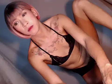 Xyourstellafox online show from December 2025 08:20:02 AM