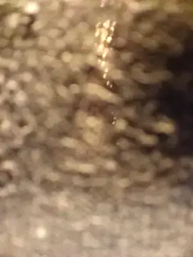 Snapshot of Venessa chatting on December 2025 01:16:02 AM Venessa online show from December 2025 01:16:02 AM