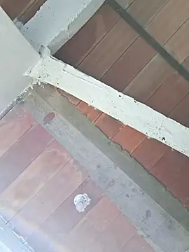 Cataleya ja online show from February 2026 12:39:01 PM