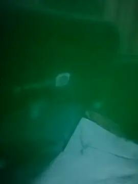 daisylouis online show from April 2026 12:11:01 PM