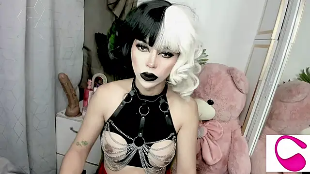 janecomander online show from September 2025 06:20:01 AM