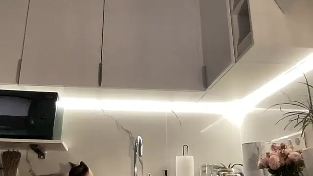 Snapshot of Gidelii chatting on October 2025 06:53:02 PM Gidelii online show from October 2025 06:53:02 PM