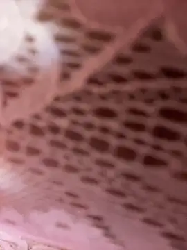 Luna 20x online show from March 2026 06:43:01 PM