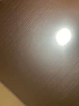 morenaluaa online show from November 2025 02:56:01 AM