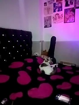 venusobryan 55 online show from April 2026 11:17:02 PM