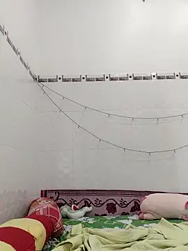 Mint299 online show from November 2025 05:23:01 AM