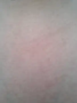 Snapshot of BigBoobs186 chatting on October 2025 01:29:02 AM BigBoobs186 online show from October 2025 01:29:02 AM