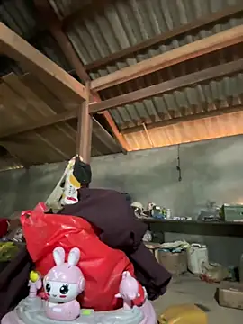 ThiHa003 online show from March 2026 09:07:01 AM