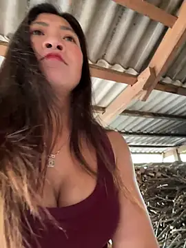 ThiHa003 online show from February 2026 03:47:01 AM