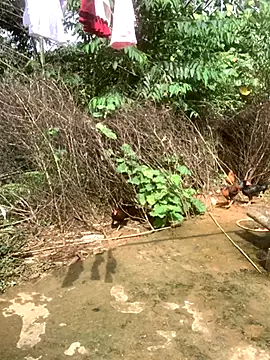 ThiHa003 online show from November 2025 04:28:01 AM