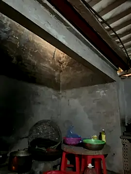 ThiHa003 online show from December 2025 09:55:01 AM