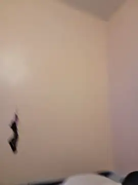 Cnutt310 online show from January 2026 04:52:01 AM