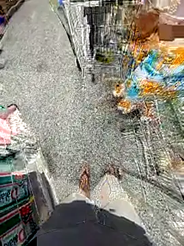 jeff pepoer online show from February 2026 11:54:01 AM