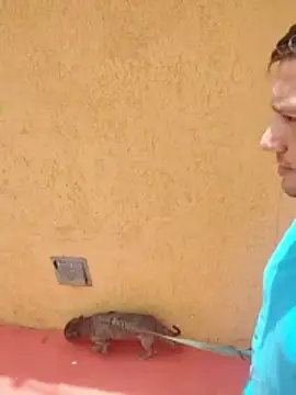 jeff pepoer online show from January 2026 03:39:02 PM