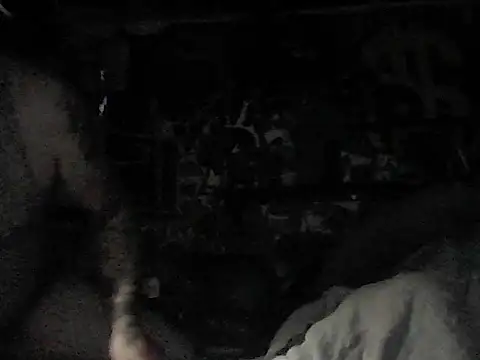 Twoslipperywhenwett online show from January 2026 01:37:02 PM