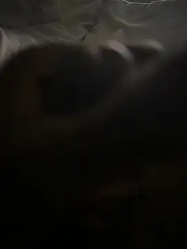 blablablackbi online show from October 2025 11:50:01 PM