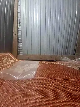 Many lize online show from February 2026 02:34:01 AM