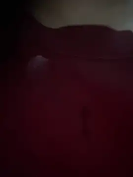 -Luxury online show from February 2026 01:13:02 PM