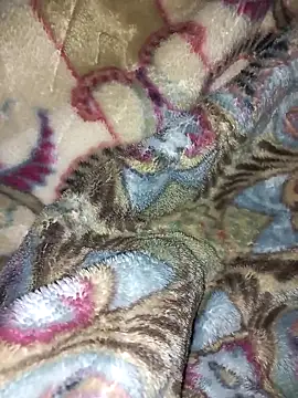 amin20cm online show from October 2025 11:47:01 PM