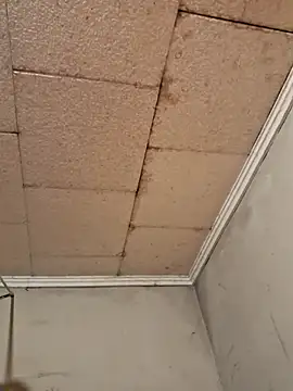 Tudiablita21 online show from March 2026 09:35:01 AM