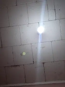 Tudiablita21 online show from November 2025 08:45:02 PM