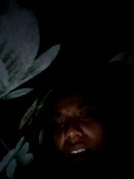 Cute Rakhi8 online show from January 2026 05:50:01 PM