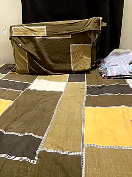 hoegupta online show from November 2025 08:01:01 PM