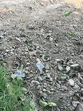 funny sexxx online show from November 2025 08:18:02 AM