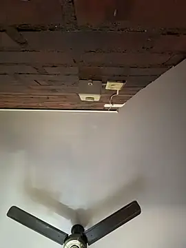 Luxx 14 online show from September 2025 07:09:02 PM