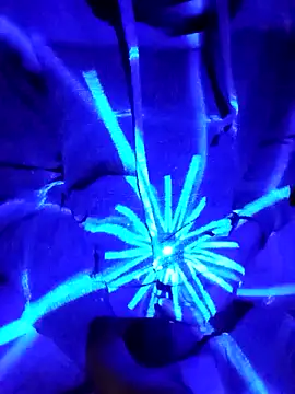 Oaxhot online show from October 2025 07:06:02 AM