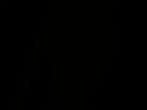 onedayonedollar online show from November 2025 01:33:02 PM