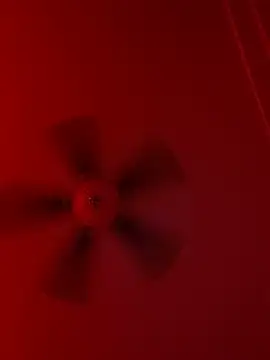 Snapshot of Taydagr8 chatting on September 2025 07:56:01 AM Taydagr8 online show from September 2025 07:56:01 AM