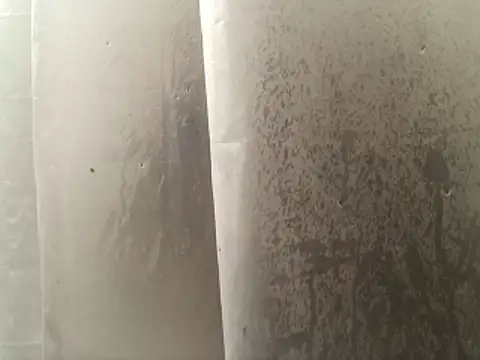 Taydagr8 online show from April 2026 07:55:01 AM