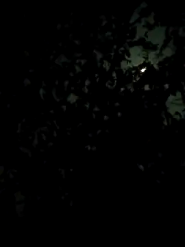 Girls pussy rider online show from February 2026 07:13:01 PM