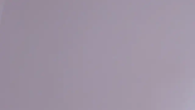 axel davis  online show from February 2026 03:57:01 PM