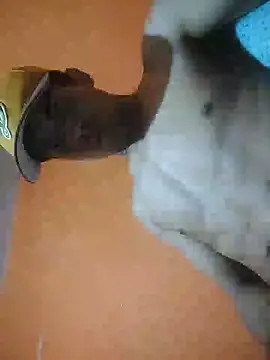 Xhimo5 online show from March 2026 06:28:02 AM