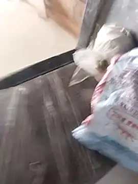 Wet BunnyFun online show from February 2026 10:04:02 AM