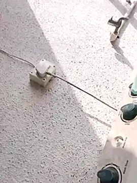 Wet BunnyFun online show from November 2025 05:08:01 AM