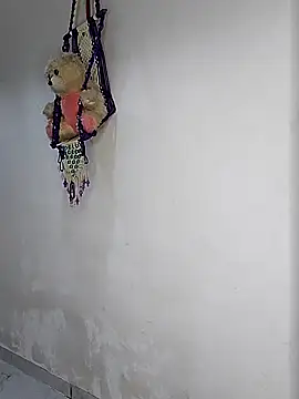 Snapshot of sneha_bebo chatting on December 2025 04:19:02 PM sneha bebo online show from December 2025 04:19:02 PM