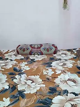 sneha bebo online show from March 2026 03:13:01 PM