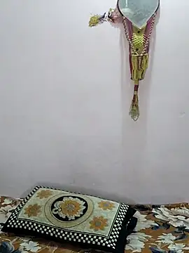 sneha bebo online show from April 2026 03:29:02 PM