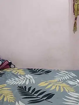 sneha bebo online show from April 2026 04:27:02 PM