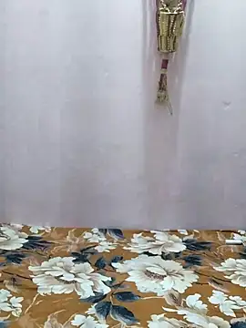 sneha bebo online show from February 2026 03:22:01 PM