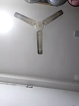 sneha bebo online show from December 2025 10:40:01 AM