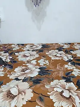 sneha bebo online show from January 2026 03:08:02 PM