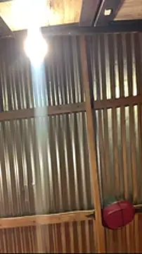 jabulani2600 online show from January 2026 09:08:01 PM