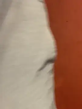 jabulani2600 online show from February 2026 06:16:01 AM